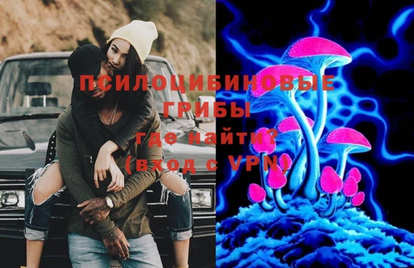 ECSTASY Сосновка