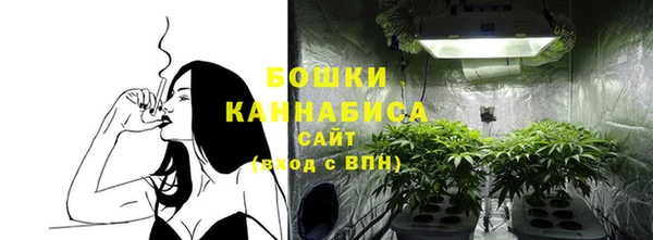 бошки Заводоуковск