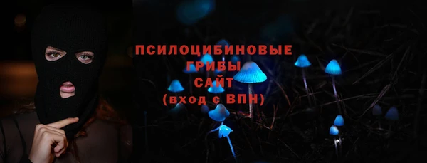 бошки Заводоуковск