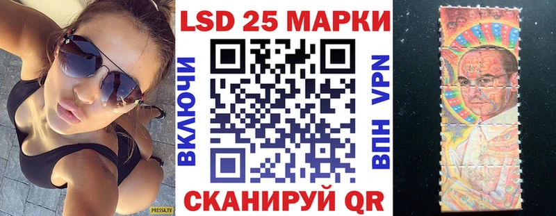 где продают Судак Марки N-bome 1500мкг