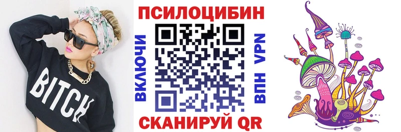 блэк спрут вход Судак Галлюциногенные грибы мицелий