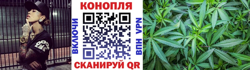 Марихуана план  Судак 
